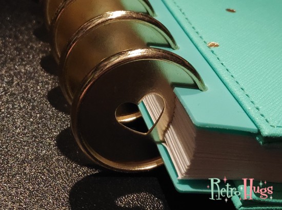 New disc rings for my planner