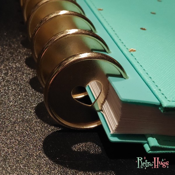 New disc rings for my planner